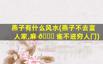 燕子有什么风水(燕子不去富人家,麻 🐞 雀不进穷人门)